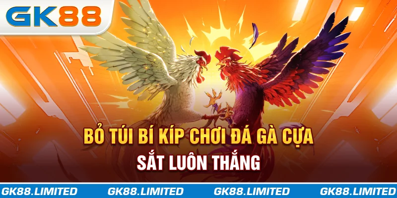 Bỏ túi bí kíp chơi đá gà cựa sắt luôn thắng