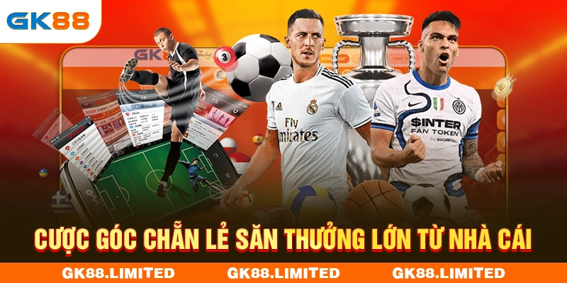 Cược góc chẵn lẻ săn thưởng lớn từ nhà cái