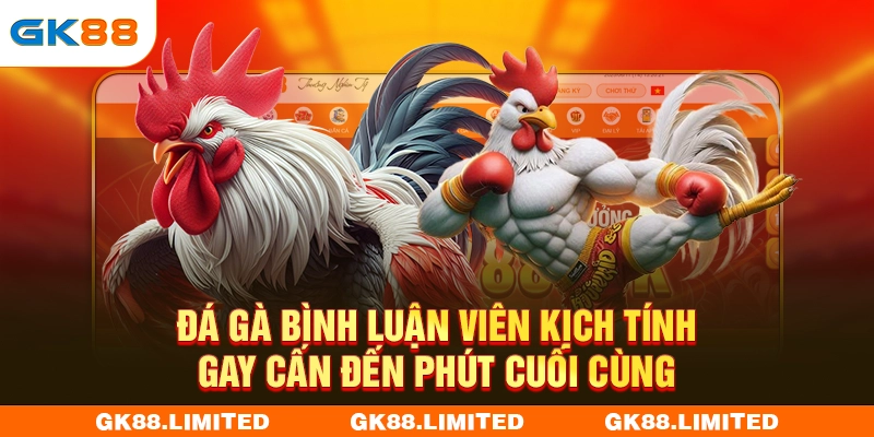 Đá Gà Bình Luận Viên Kịch Tính Gay Cấn Đến Phút Cuối Cùng