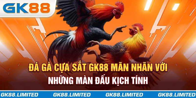 Đá Gà Cựa Sắt GK88 - Mãn Nhãn Với Những Màn Đấu Kịch Tính