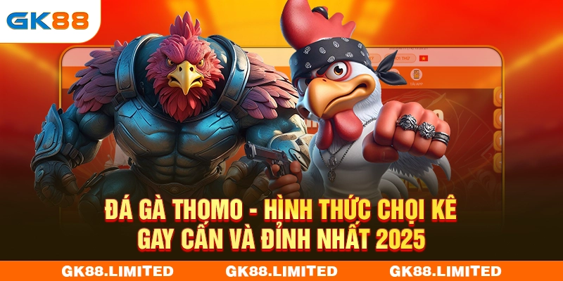 Đá Gà Thomo - Hình Thức Chọi Kê Gay Cấn Và Đỉnh Nhất 2025