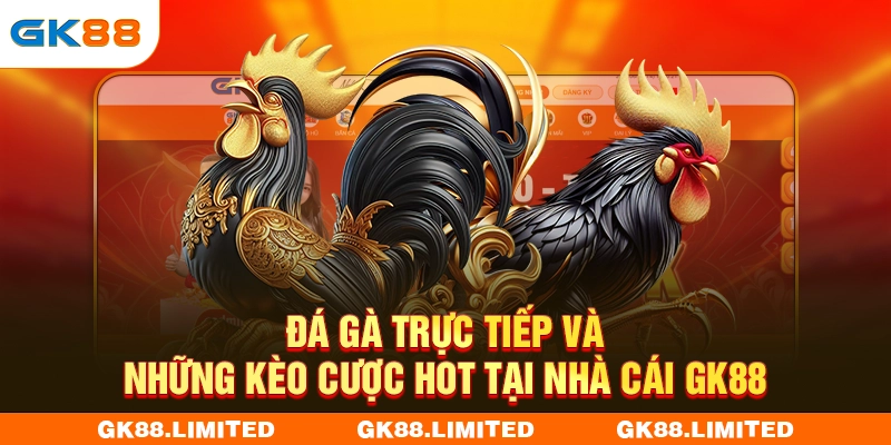 Đá Gà Trực Tiếp Và Những Kèo Cược Hot Tại Nhà Cái GK88