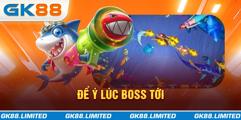 Để ý lúc boss tới