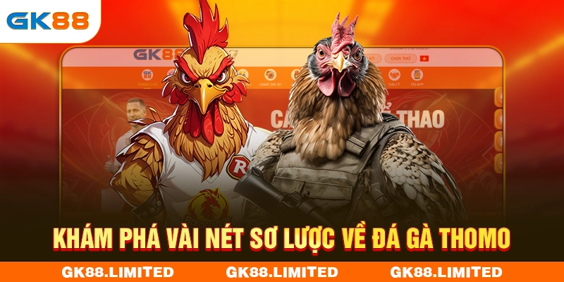 Khám phá vài nét sơ lược về đá gà Thomo