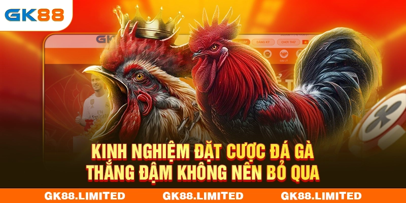 Kinh nghiệm đặt cược đá gà thắng đậm không nên bỏ qua