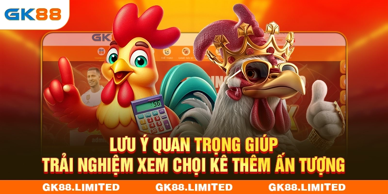 Lưu ý quan trọng giúp trải nghiệm xem chọi kê thêm ấn tượng