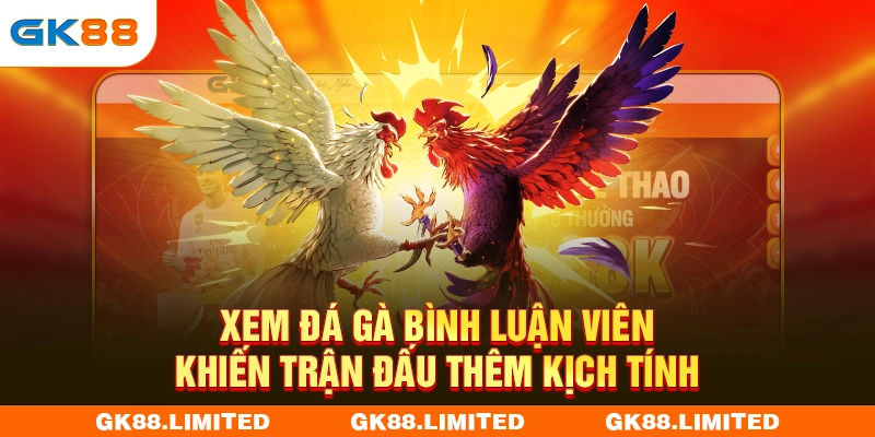 Xem đá gà bình luận viên khiến trận đấu thêm kịch tính